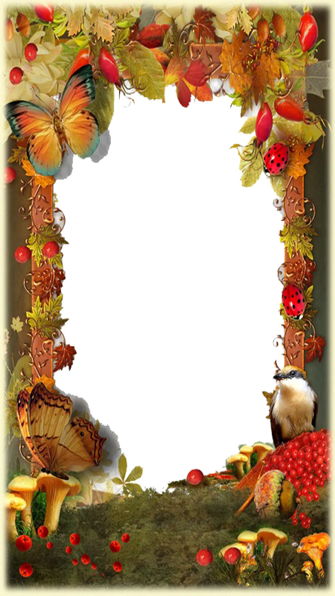 Nature Photo Frame | Indus Appstore | Screenshot