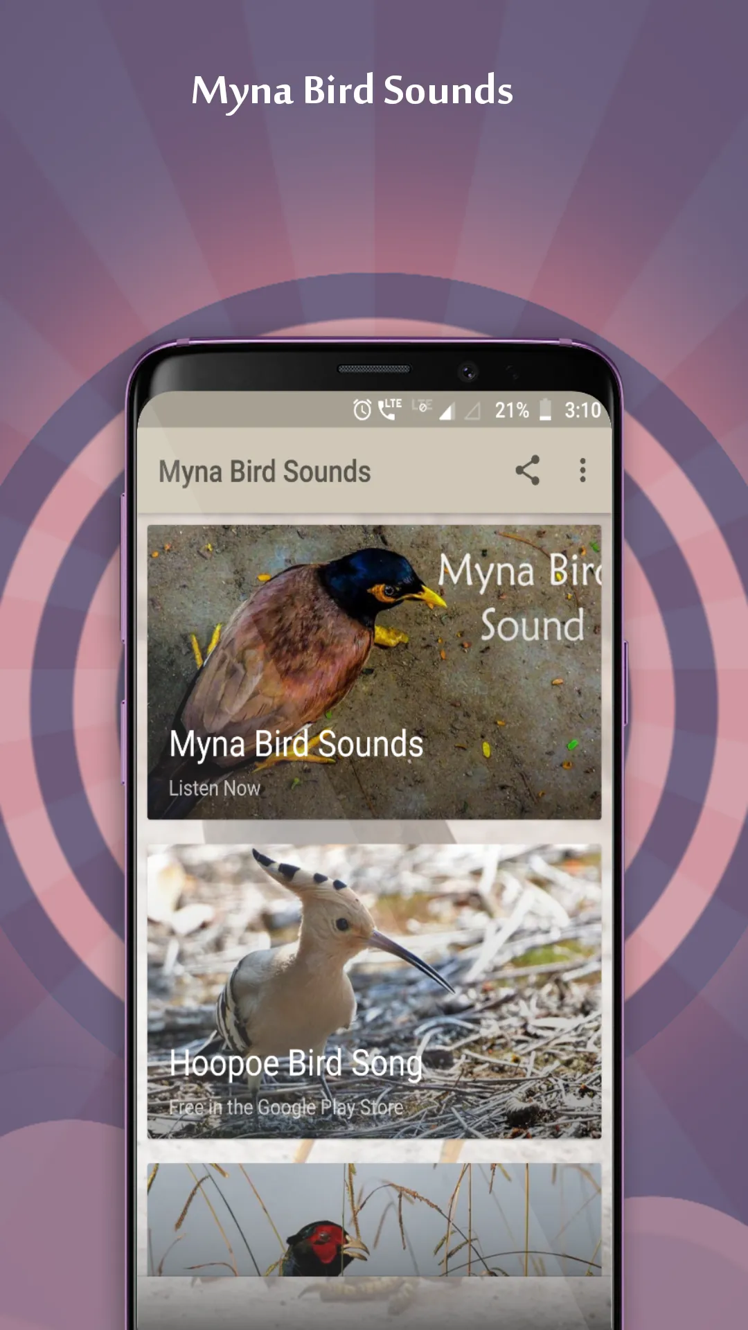 Myna Bird Sounds | Indus Appstore | Screenshot