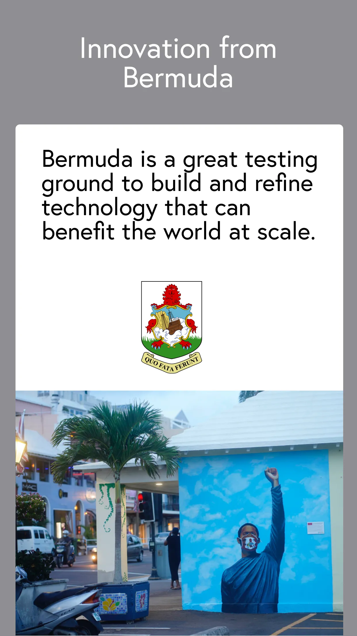 Wehealth Bermuda | Indus Appstore | Screenshot