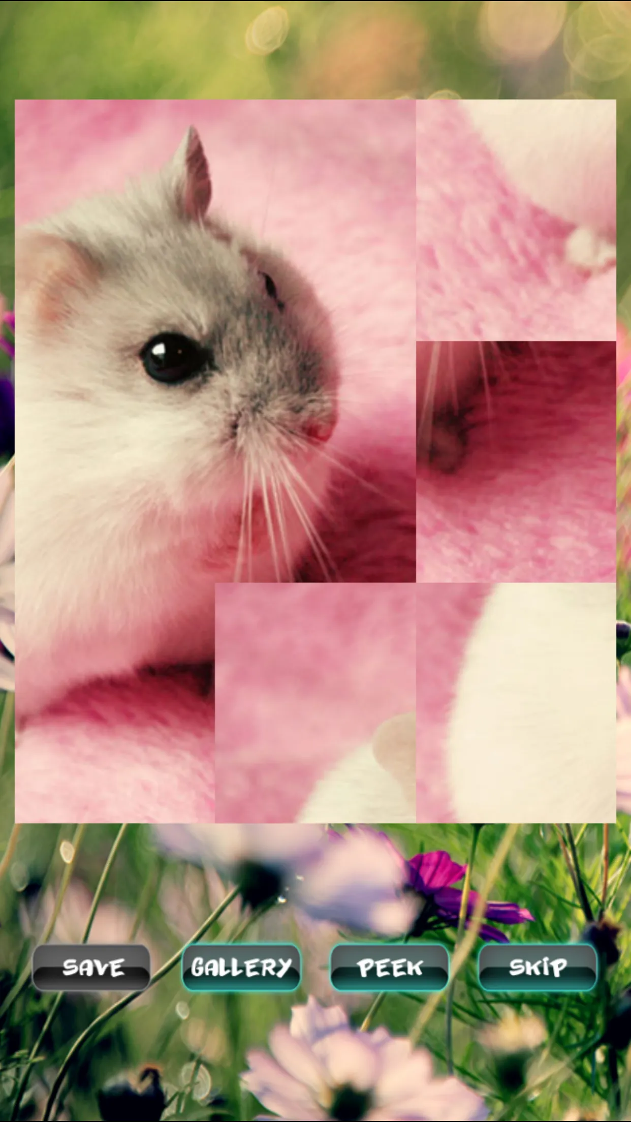 Hamster Pet Puzzles | Indus Appstore | Screenshot