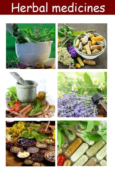 Herbal medicines plant | Indus Appstore | Screenshot