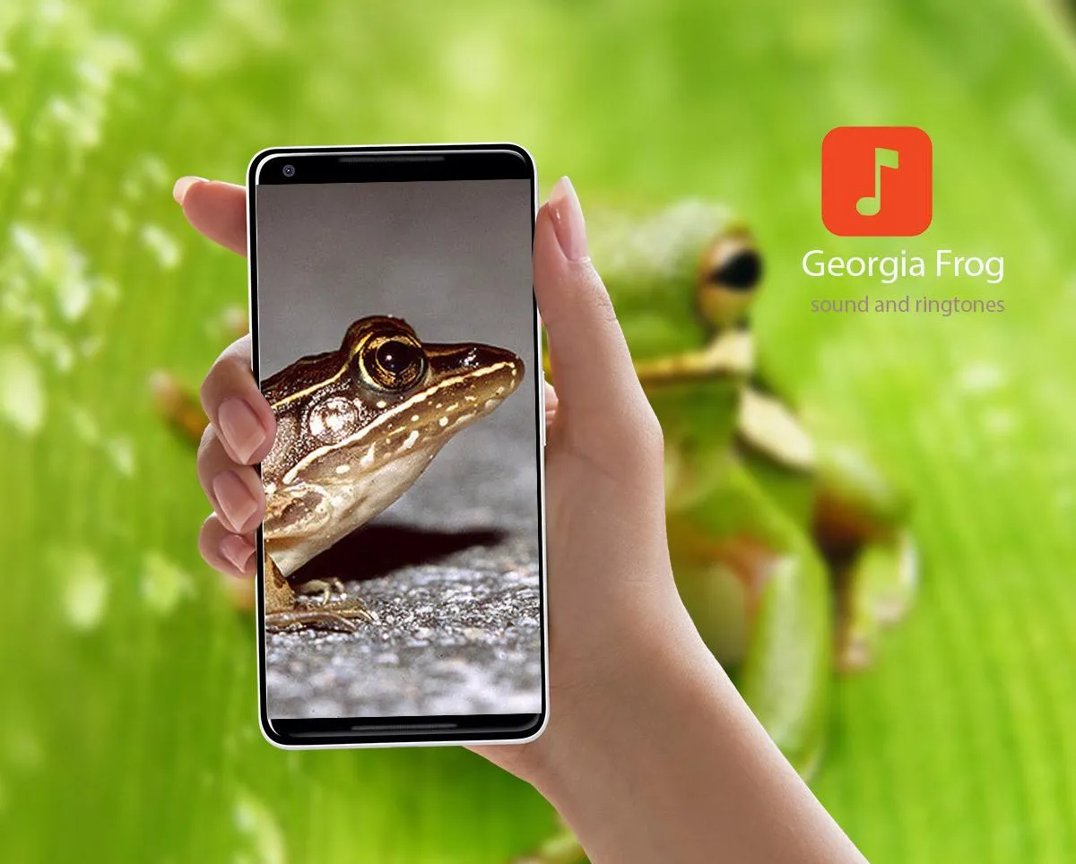 Georgia Frog Sounds | Indus Appstore | Screenshot