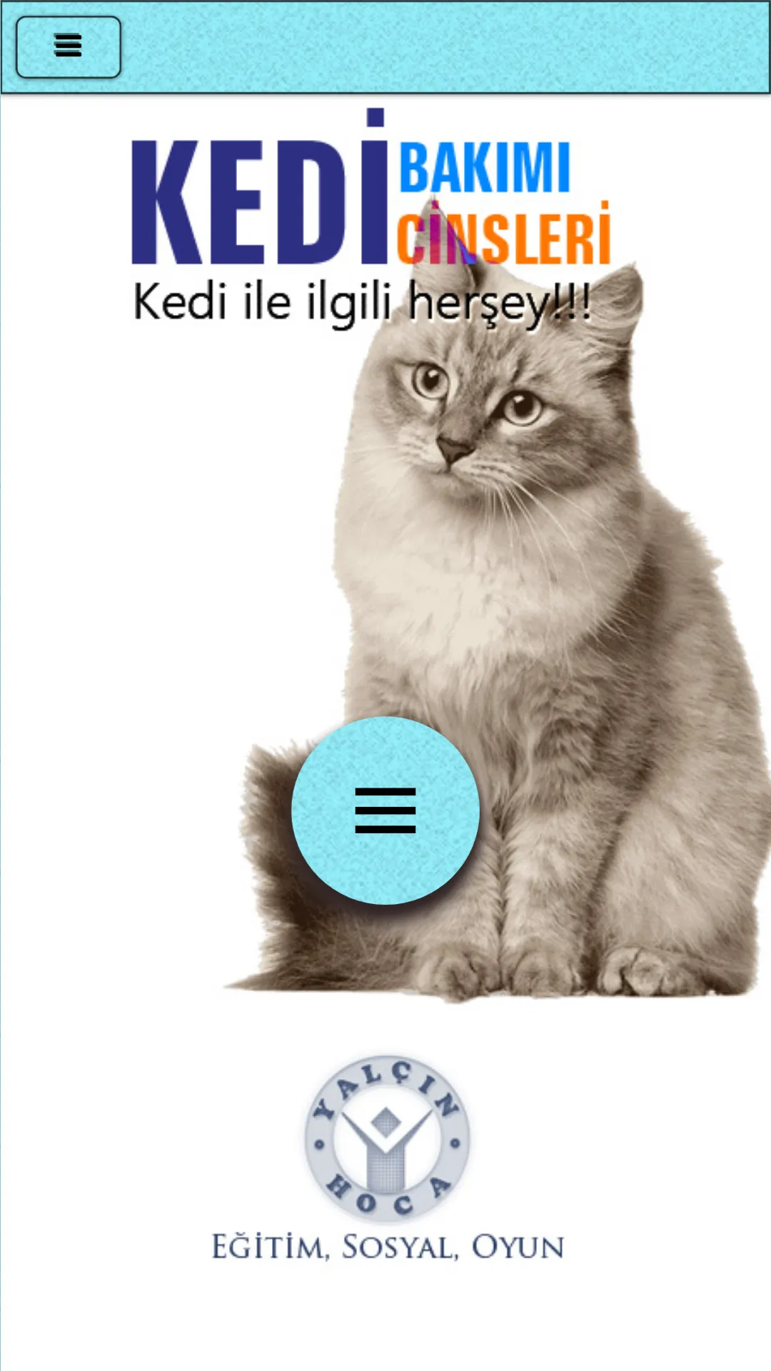 Kedi Bakımı | Indus Appstore | Screenshot