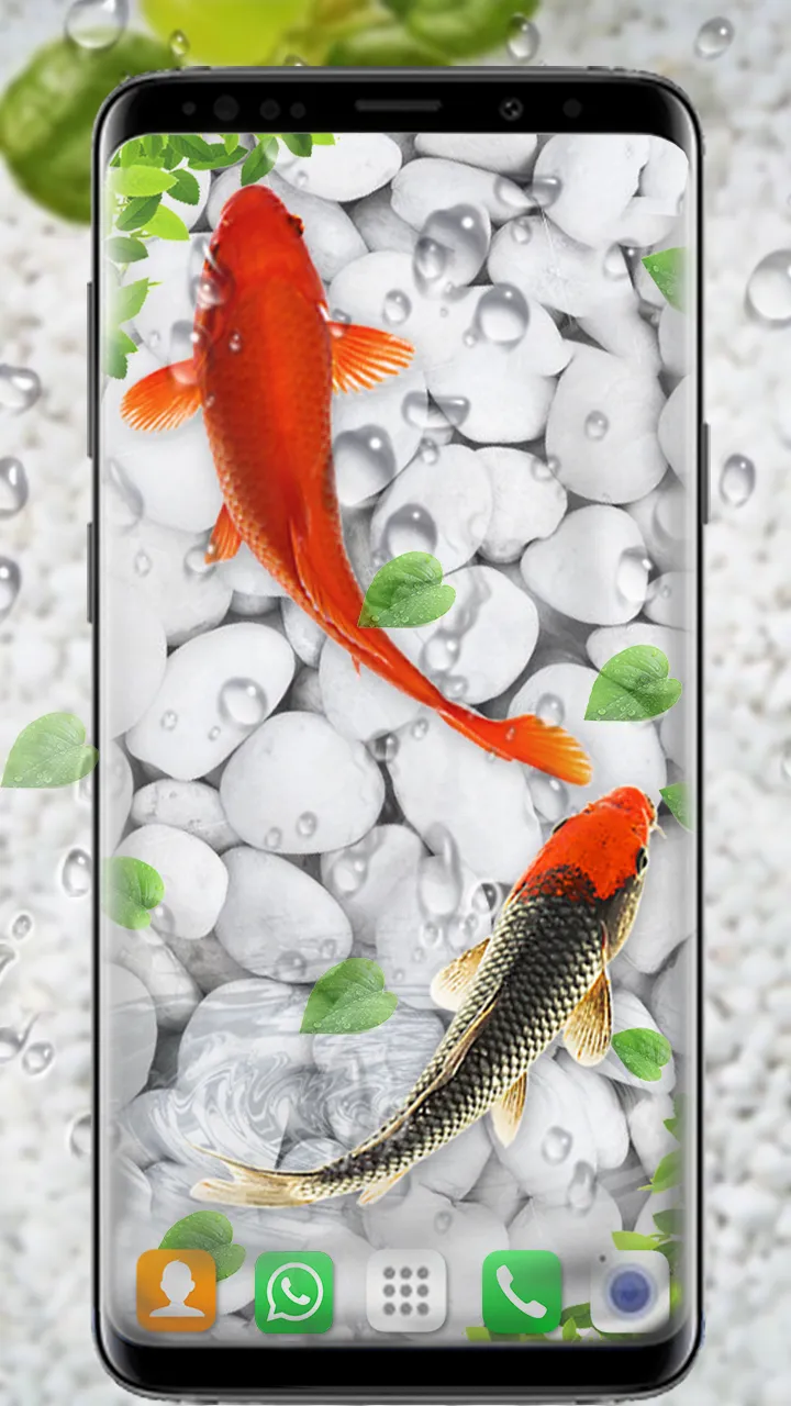 Koi Fish Live Wallpapers HD | Indus Appstore | Screenshot