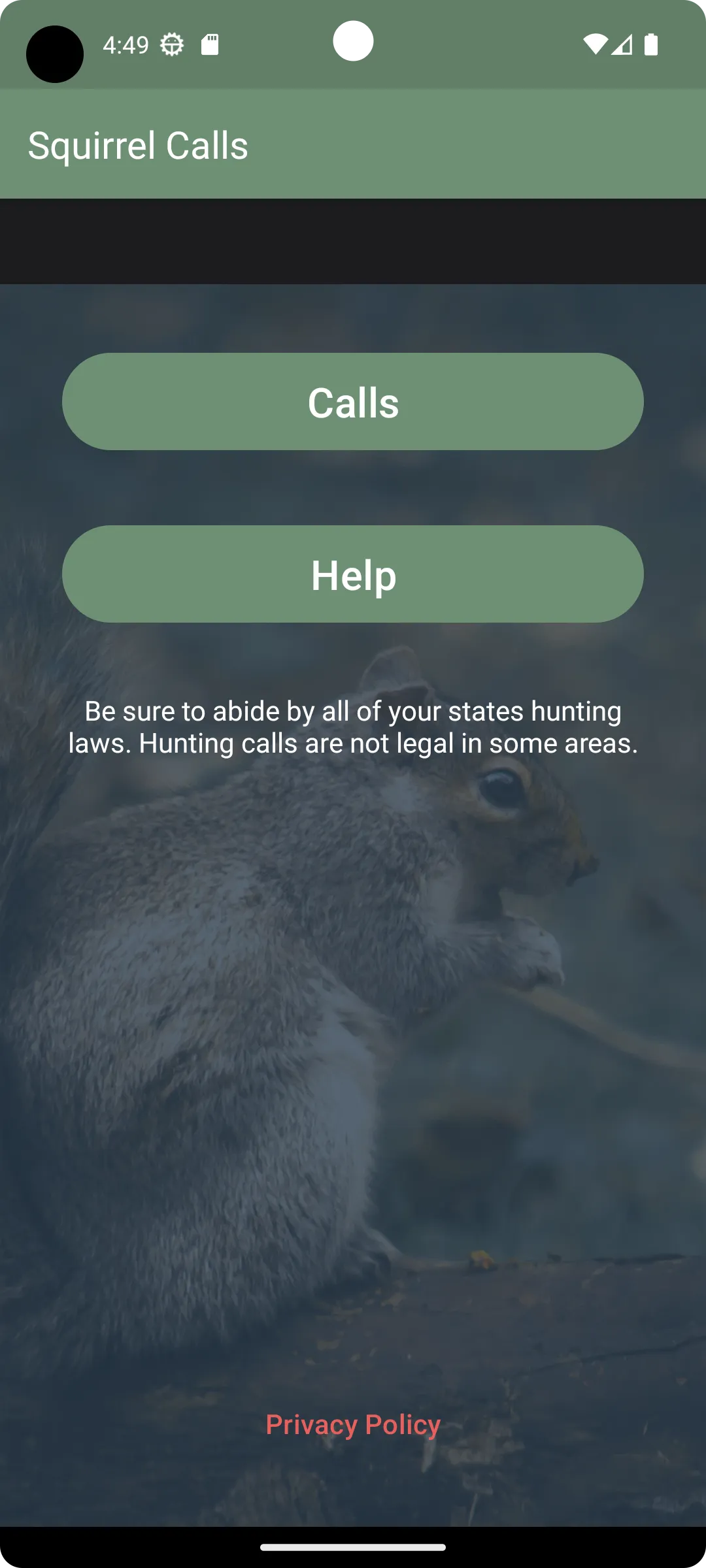 Squirrel Calls | Indus Appstore | Screenshot