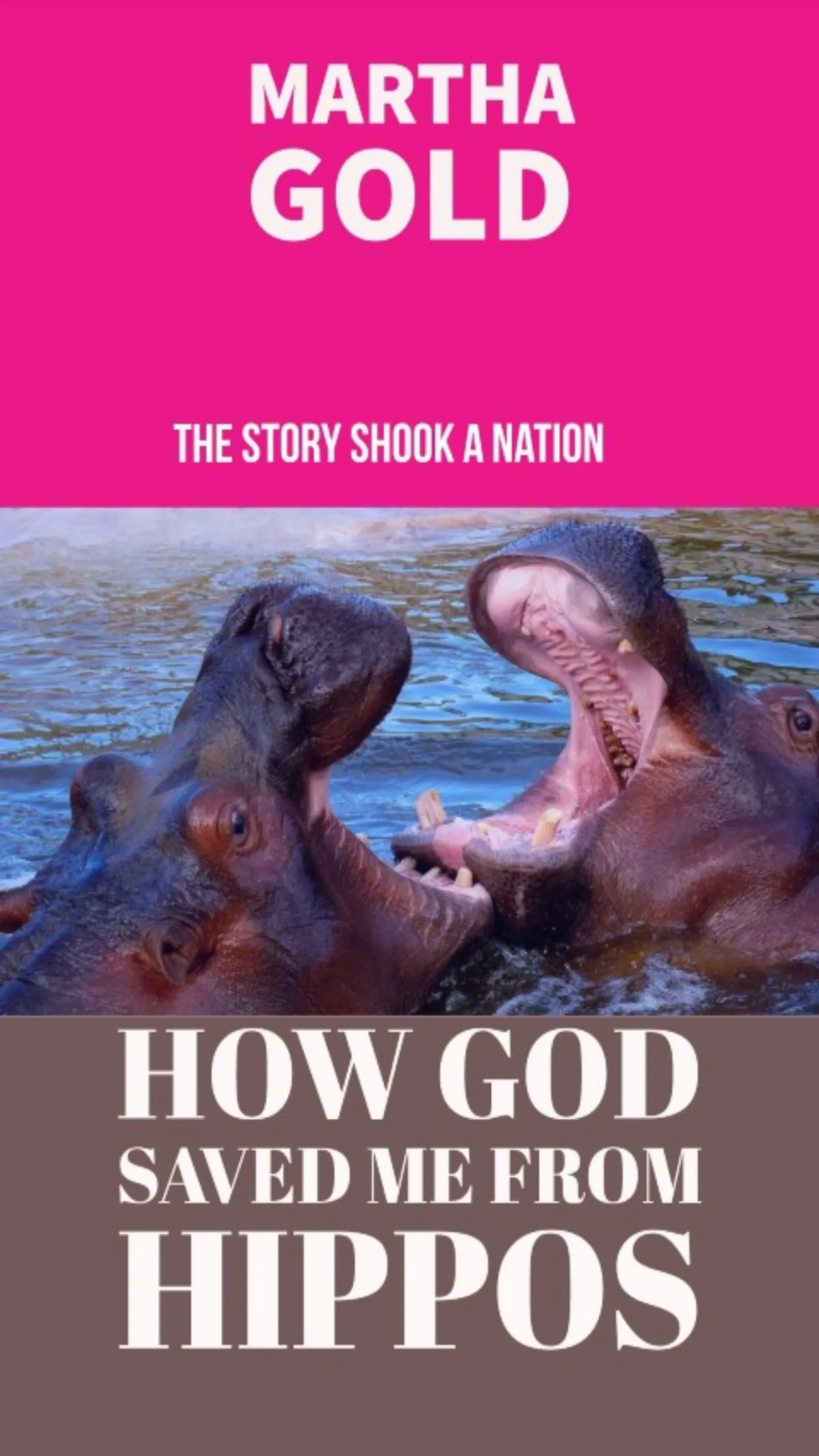 How God Saved Me From Hippos | Indus Appstore | Screenshot