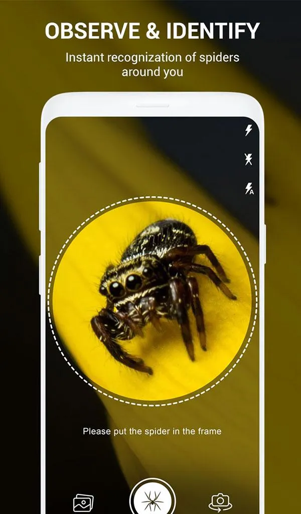 Spider Identifier App by Photo | Indus Appstore | Screenshot