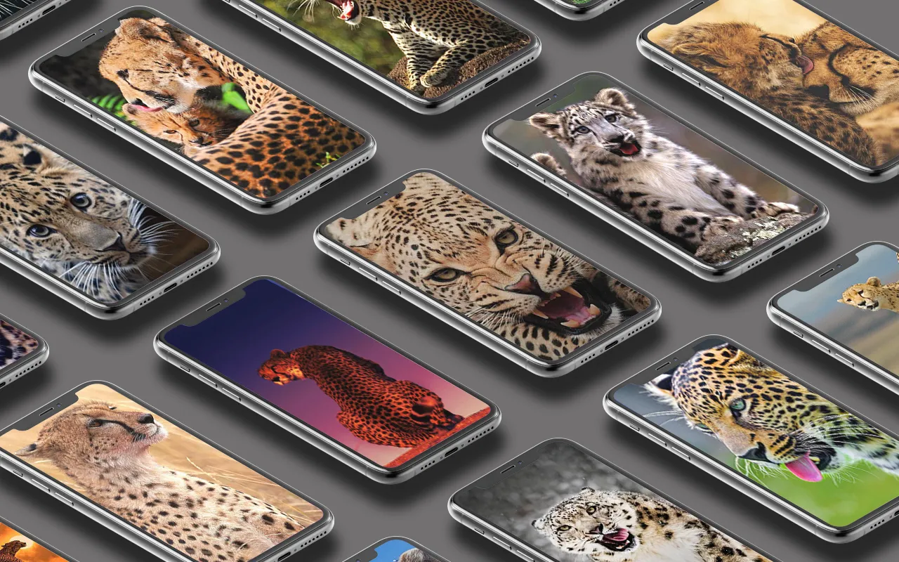 Leopard Wallpaper | Indus Appstore | Screenshot