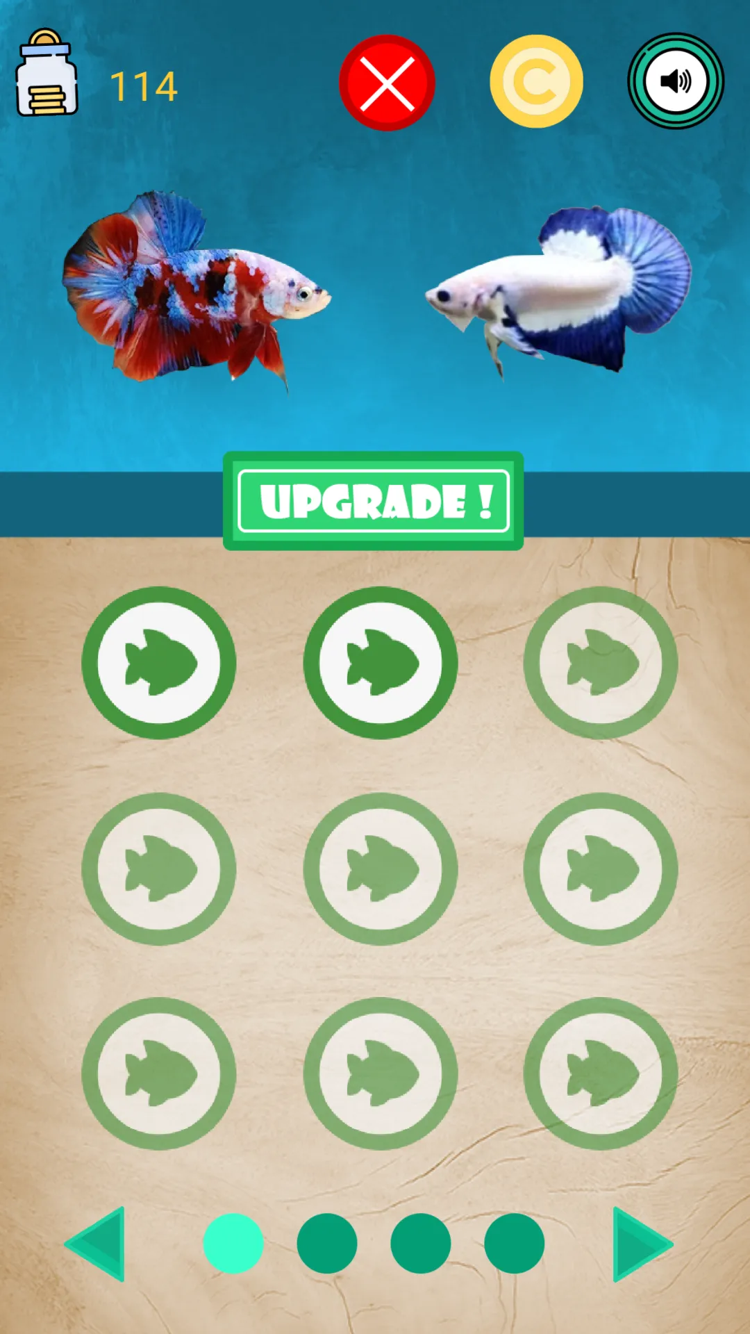 Betta Fish Seller | Indus Appstore | Screenshot