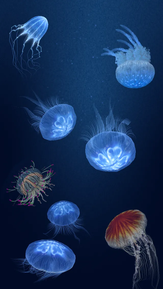 Jellyfish Heaven | Indus Appstore | Screenshot