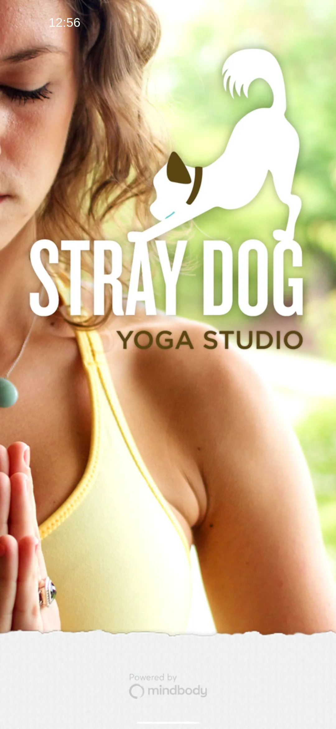 Stray Dog Yoga Studio | Indus Appstore | Screenshot