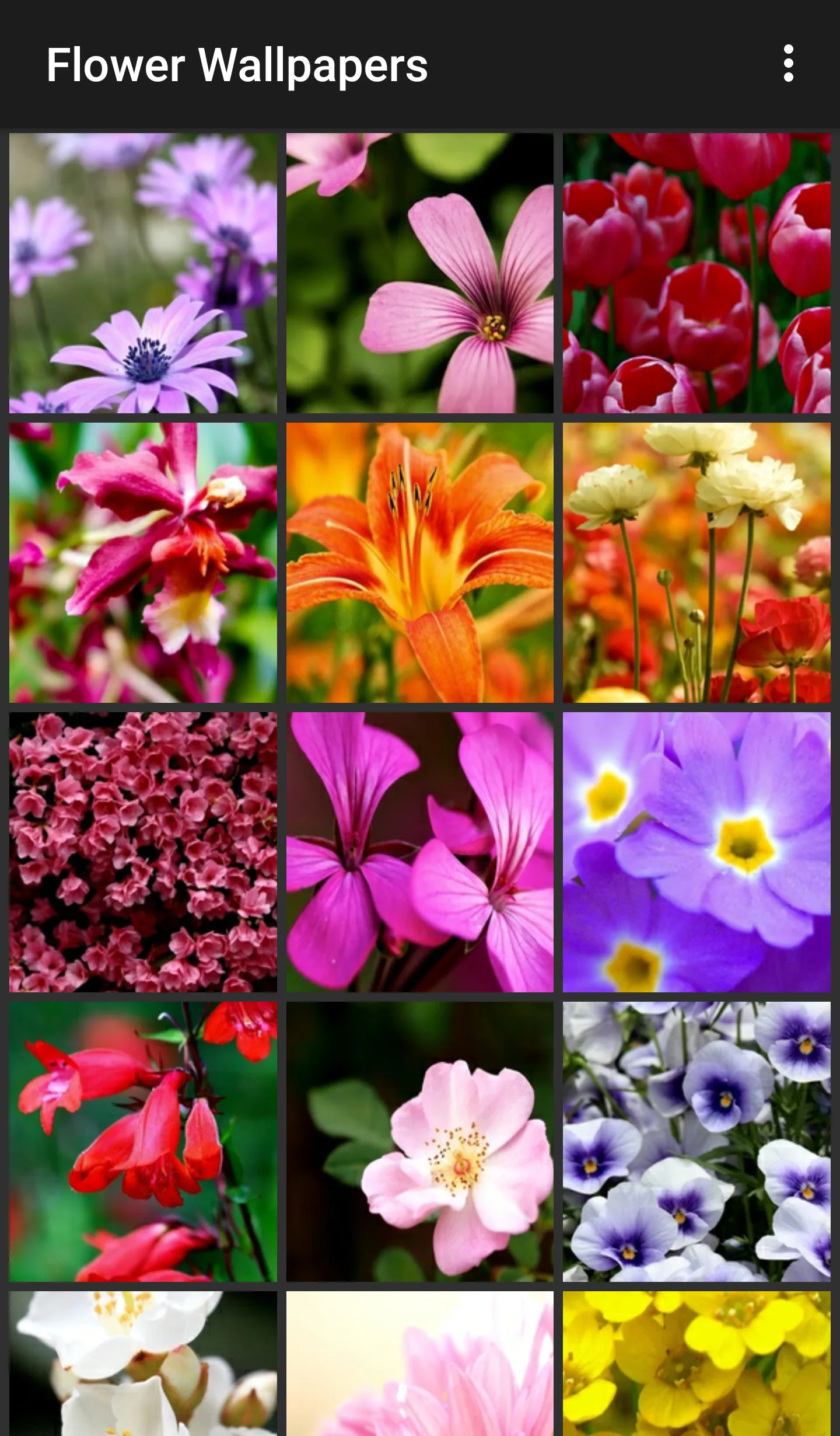 Flower Wallpapers | Indus Appstore | Screenshot