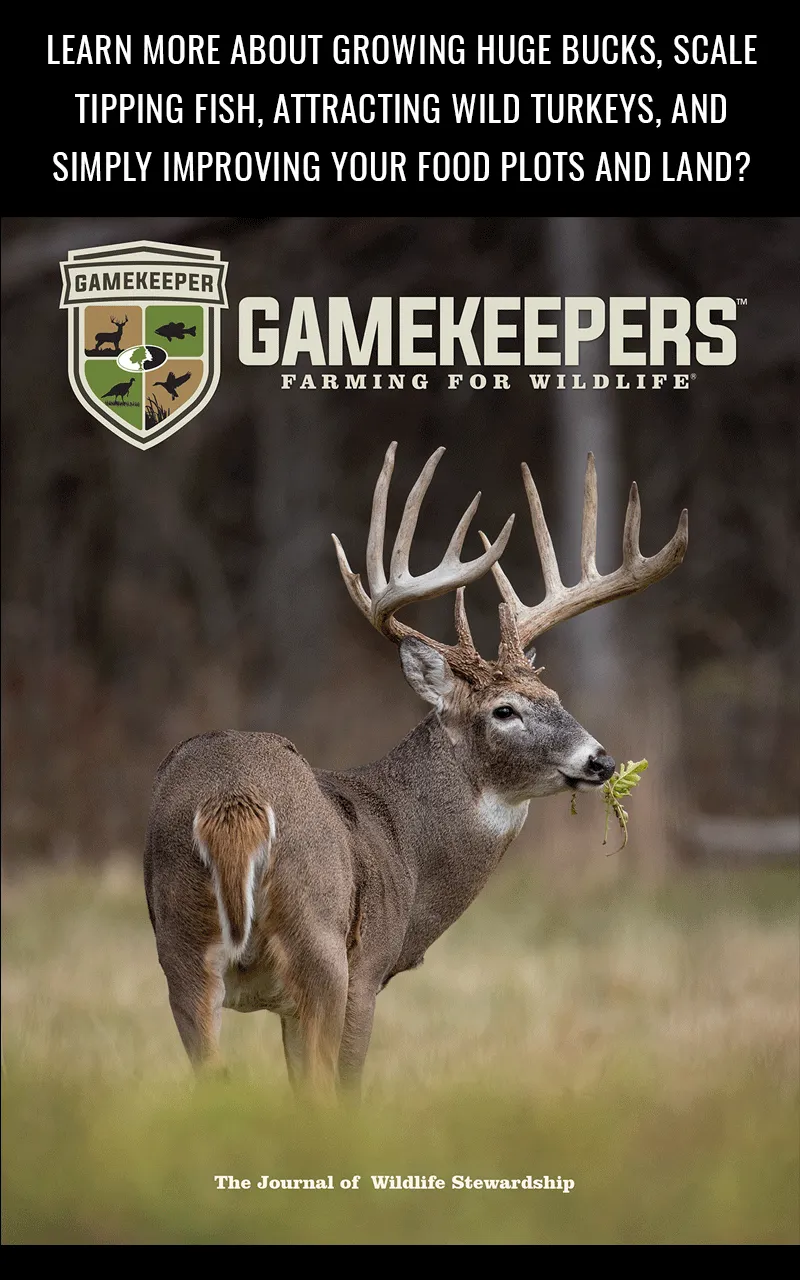 GameKeepers Magazine | Indus Appstore | Screenshot