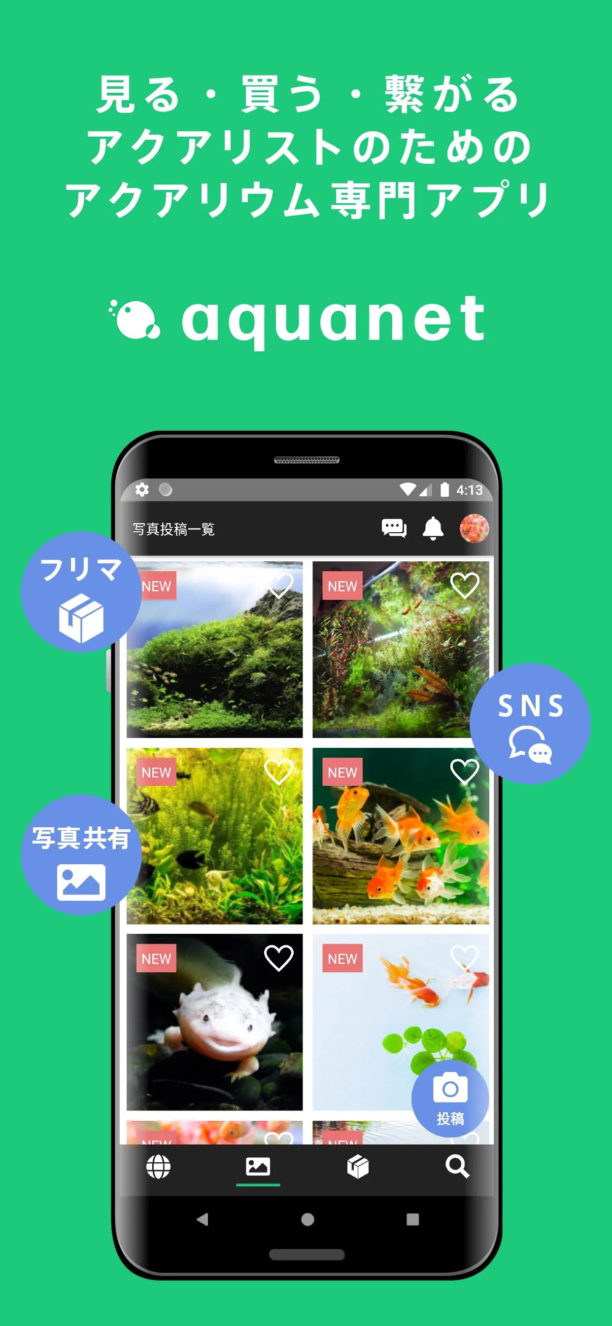 アクアネット -アクアリウム・熱帯魚ファンのためのSNS・フ | Indus Appstore | Screenshot