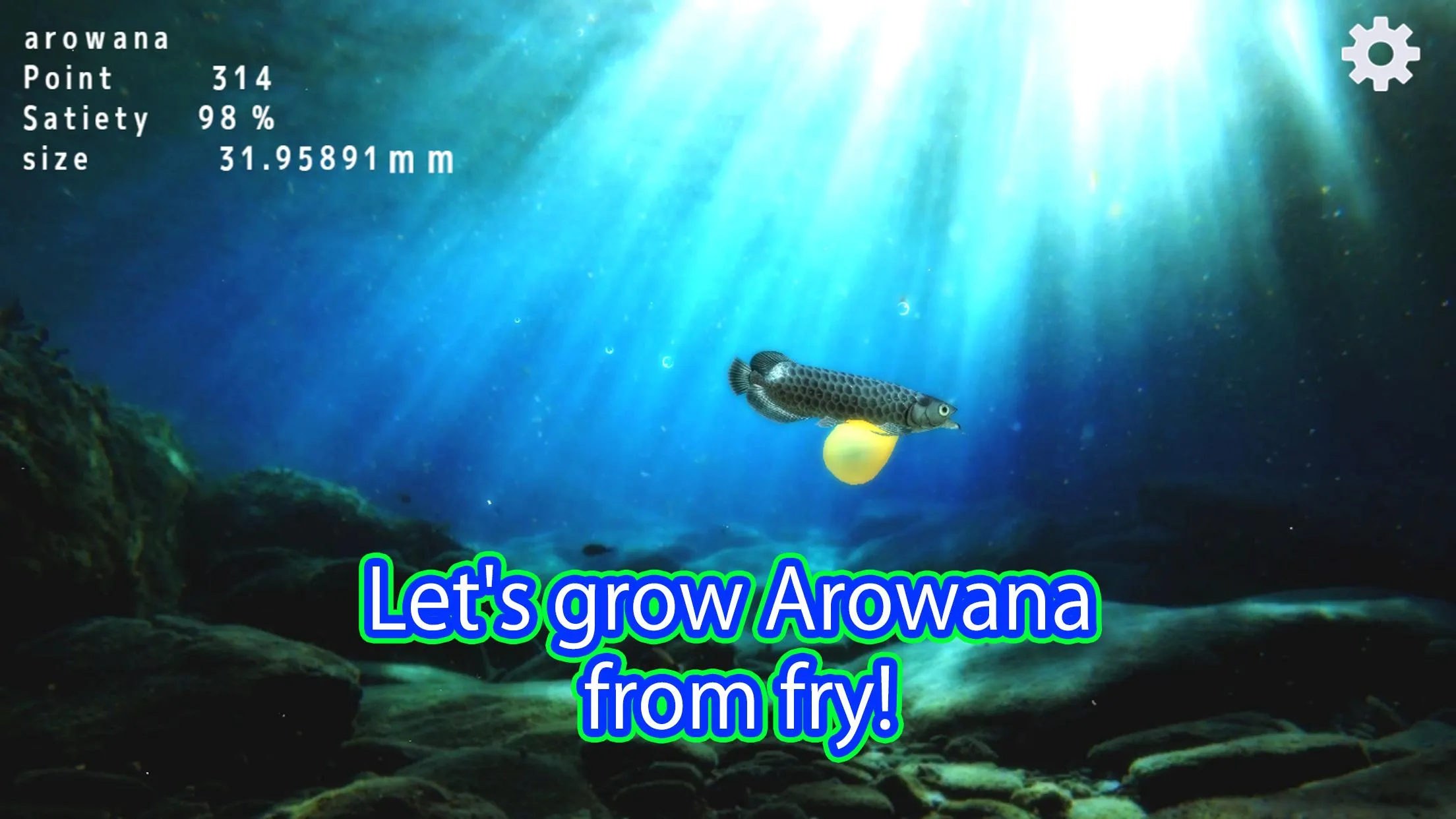 Arowana raising from fry | Indus Appstore | Screenshot