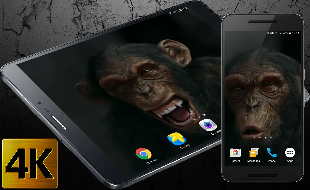 Talking Monkey Live Wallpaper | Indus Appstore | Screenshot