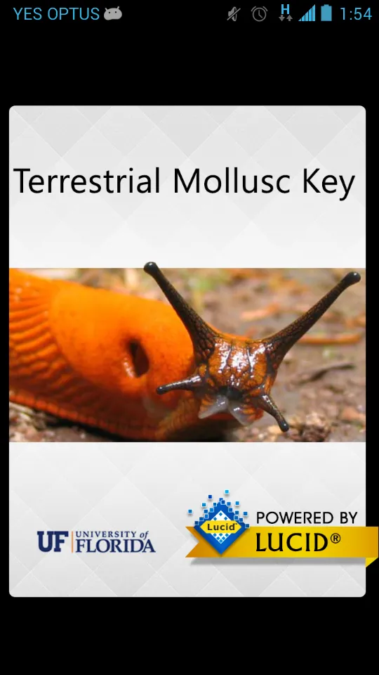 Terrestrial Mollusc Key | Indus Appstore | Screenshot