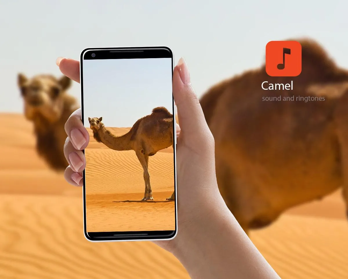 Camel Sound Effects | Indus Appstore | Screenshot