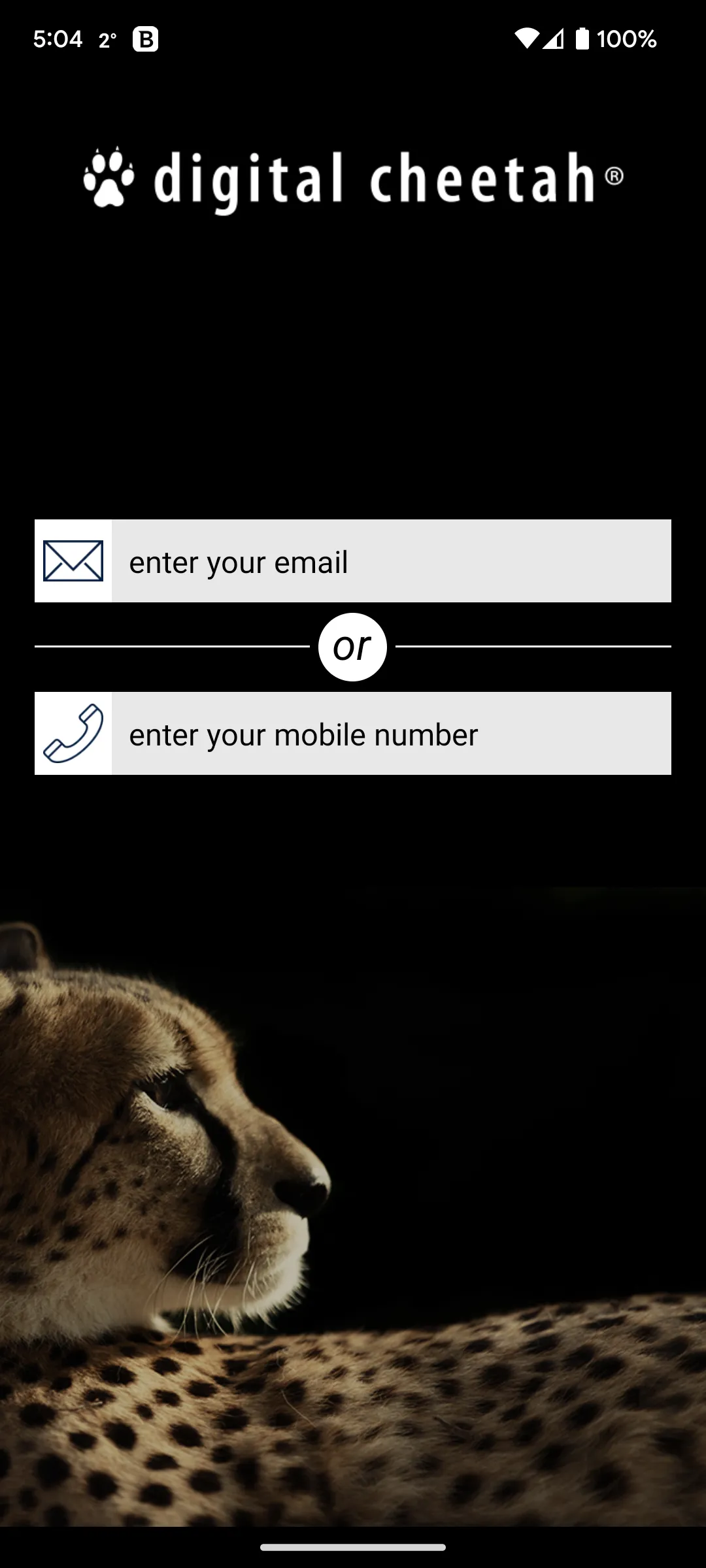 Cheetah | Indus Appstore | Screenshot