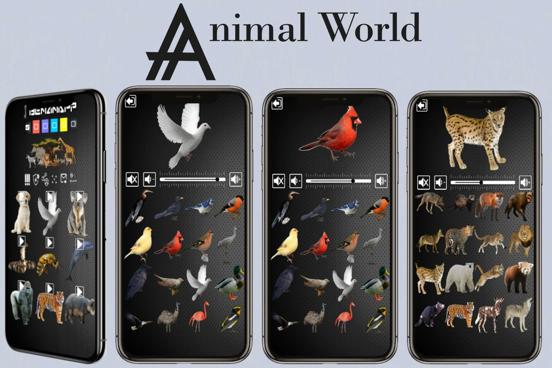 Animal Sounds | Indus Appstore | Screenshot