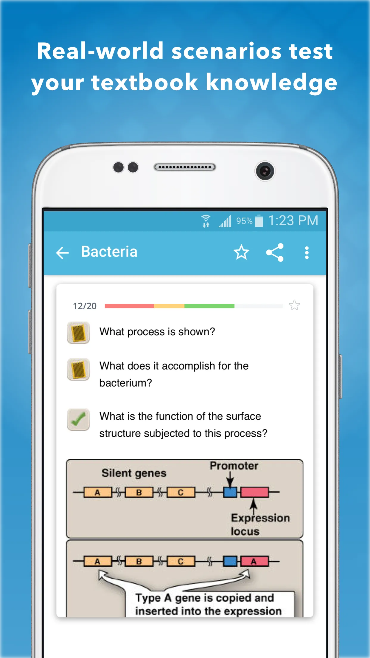 USMLE Microbiology Flashcards | Indus Appstore | Screenshot