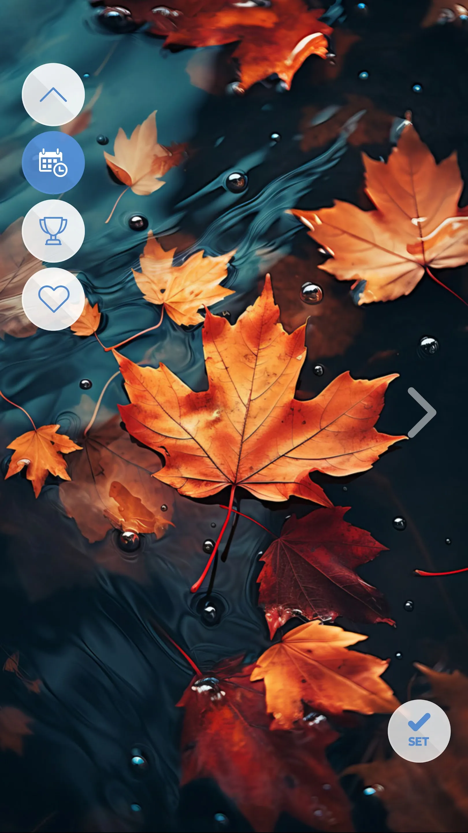 Autumn Cool Wallpapers | Indus Appstore | Screenshot