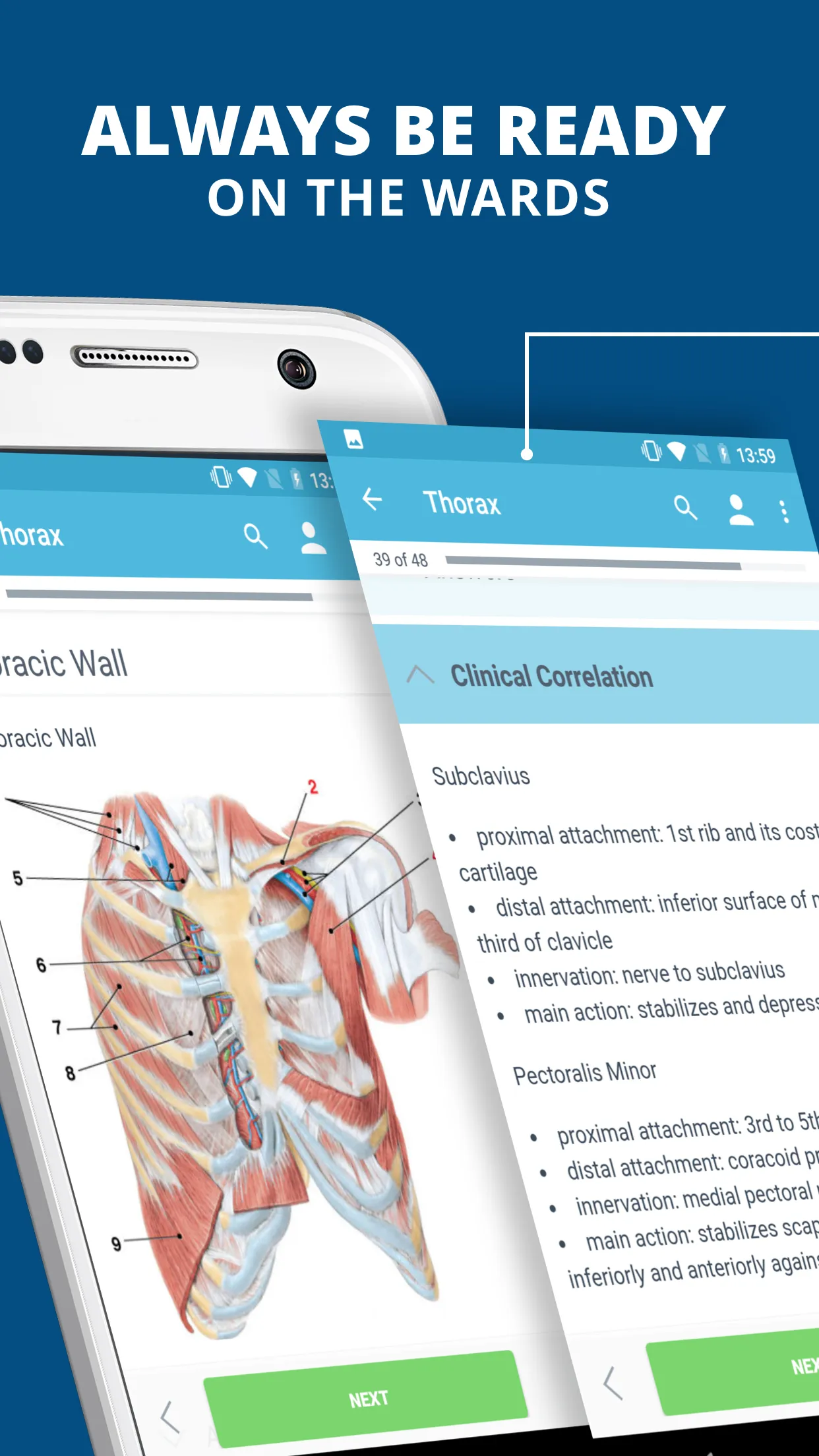 USMLE Clinical Anatomy | Indus Appstore | Screenshot