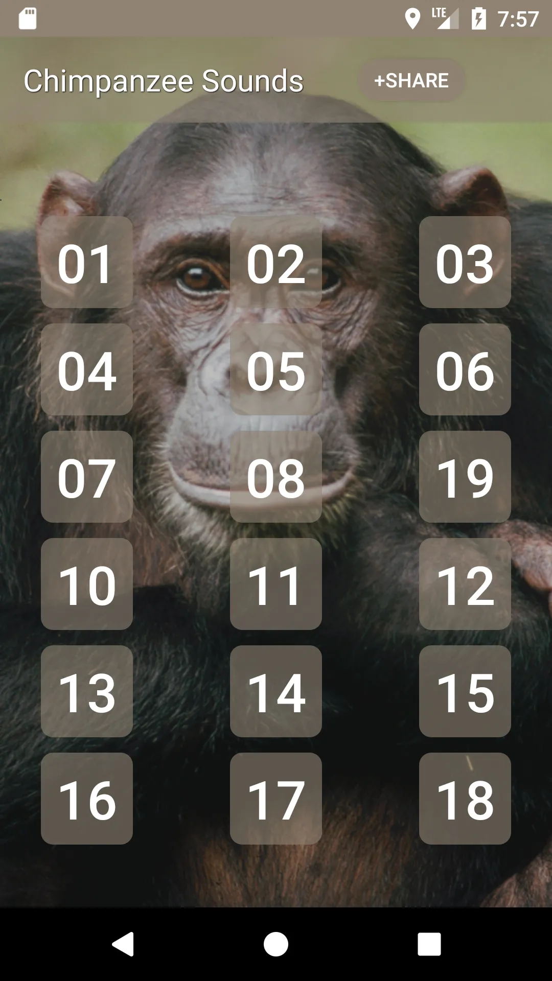 Chimpanzee Sounds | Indus Appstore | Screenshot