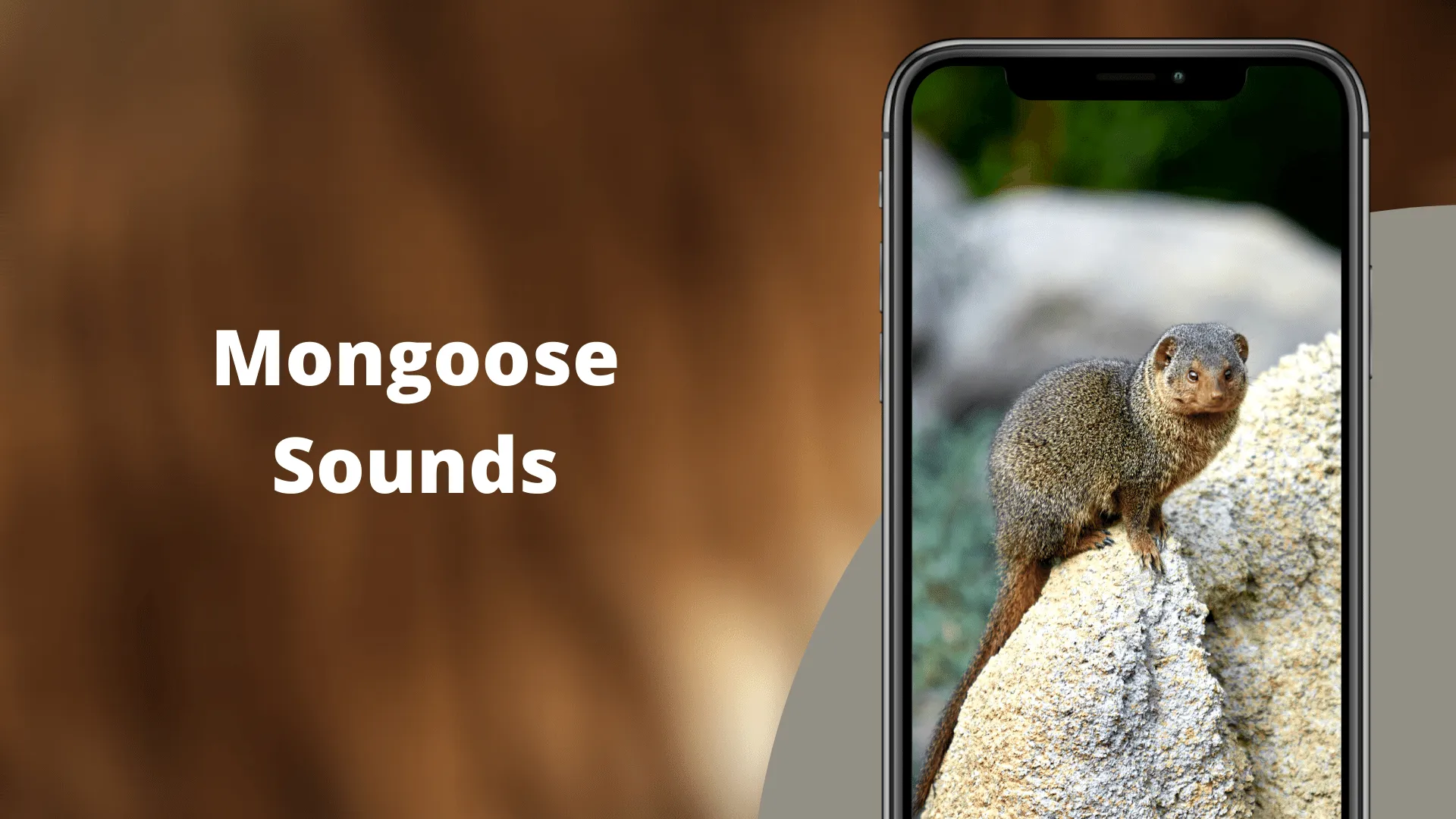 Mongoose Sounds | Indus Appstore | Screenshot