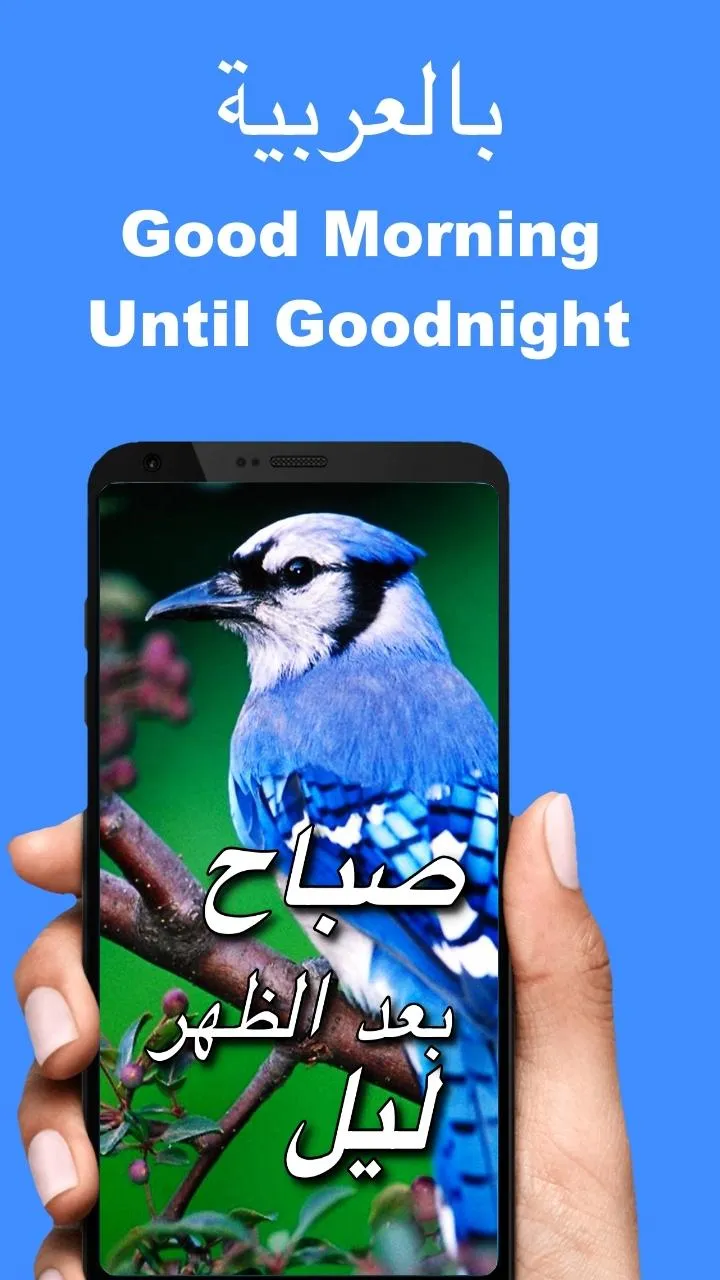 Arabic Good Morning to Night | Indus Appstore | Screenshot