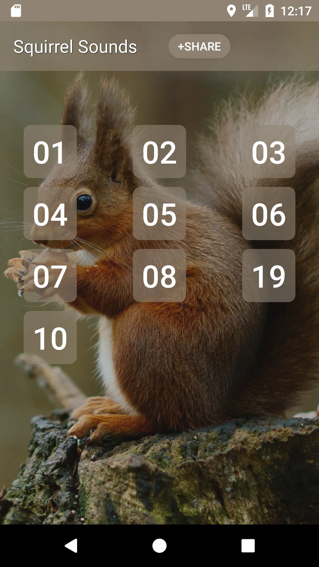 Squirrel Sounds | Indus Appstore | Screenshot