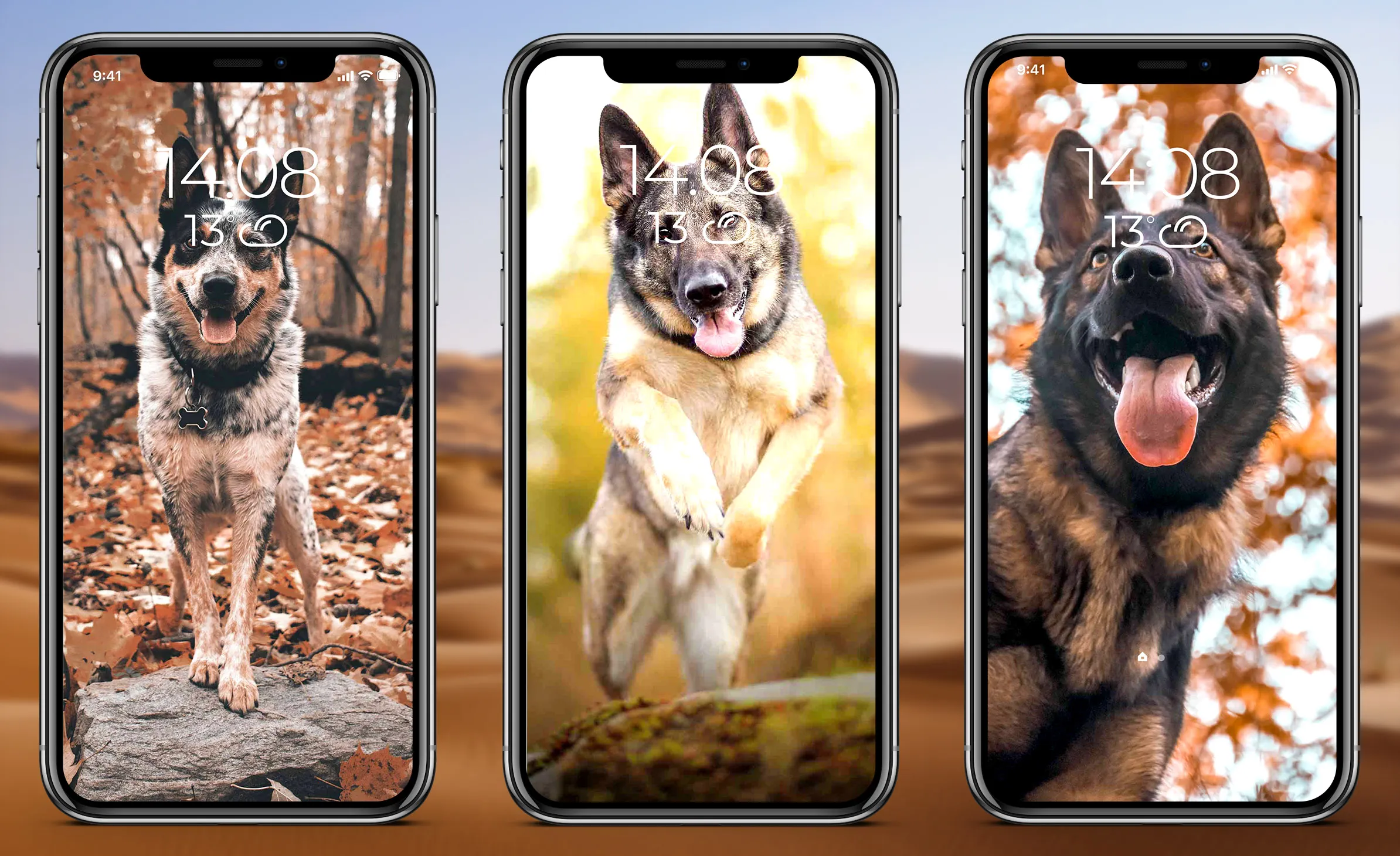 German Shepherd Wallpaper | Indus Appstore | Screenshot