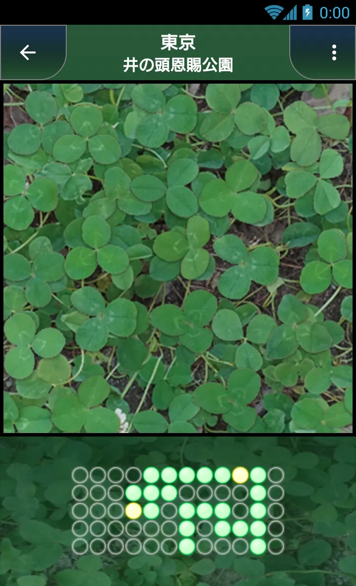 Four-Leaf Clover | Indus Appstore | Screenshot