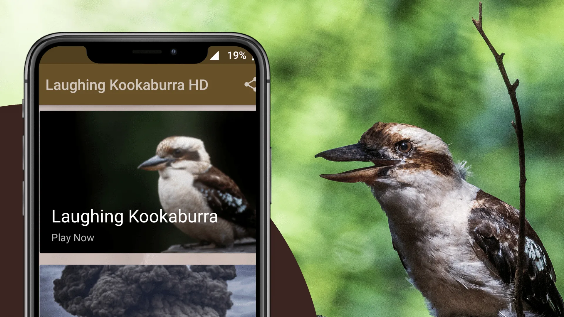 Laughing Kookaburra Sounds | Indus Appstore | Screenshot