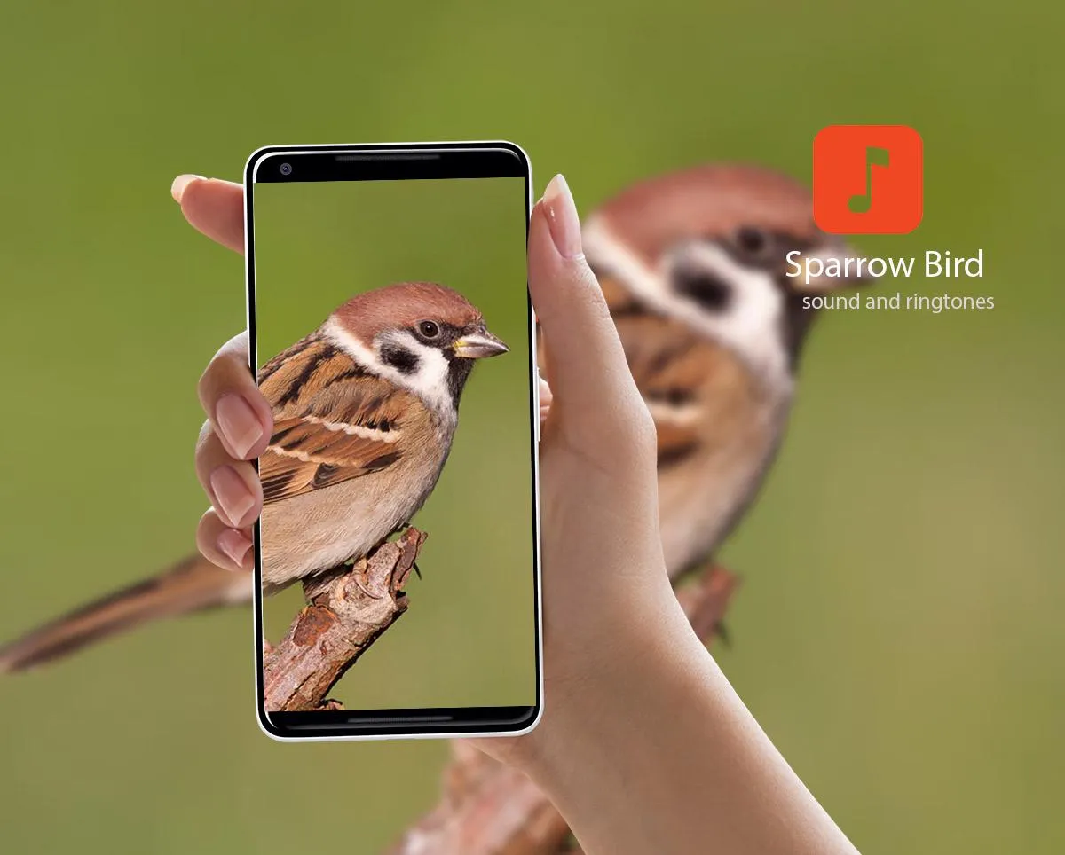 Sparrow Sound Effects | Indus Appstore | Screenshot