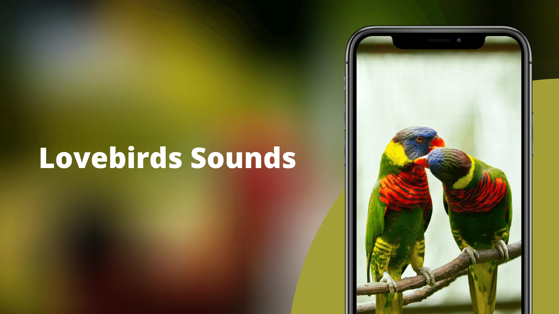 Lovebird Sounds | Indus Appstore | Screenshot