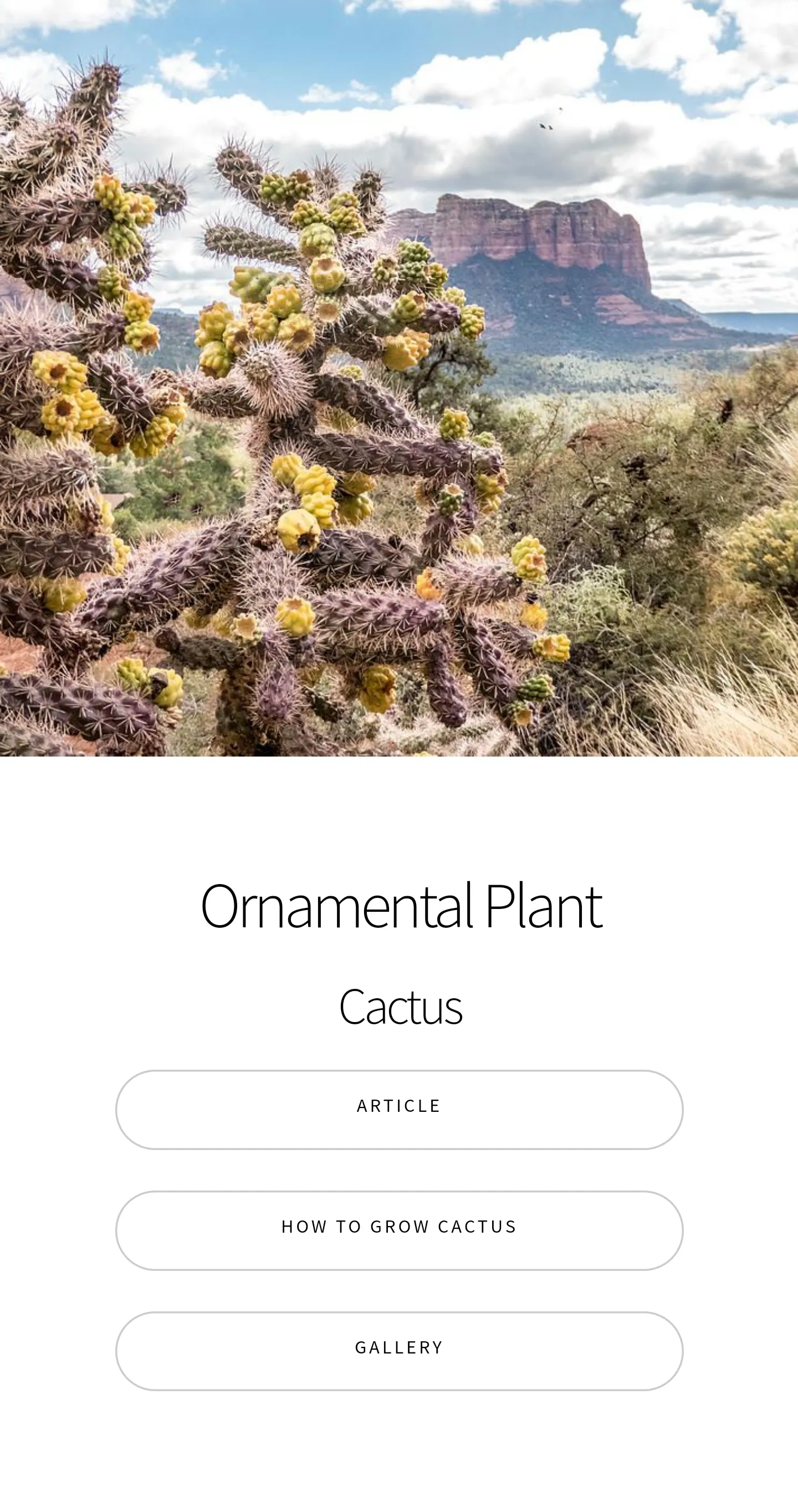 Cactus Guide - Planting Techni | Indus Appstore | Screenshot