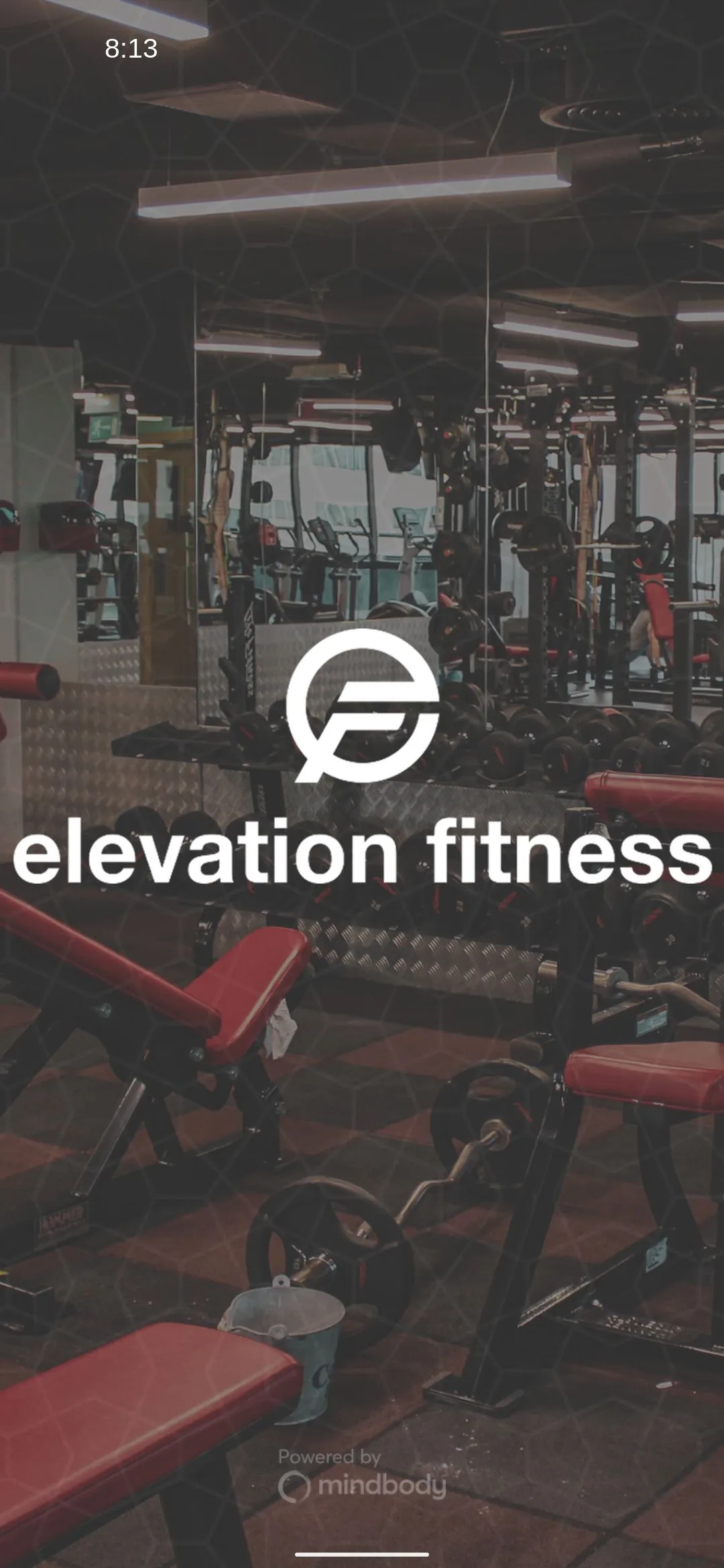 Elevation Fitness Dubai | Indus Appstore | Screenshot