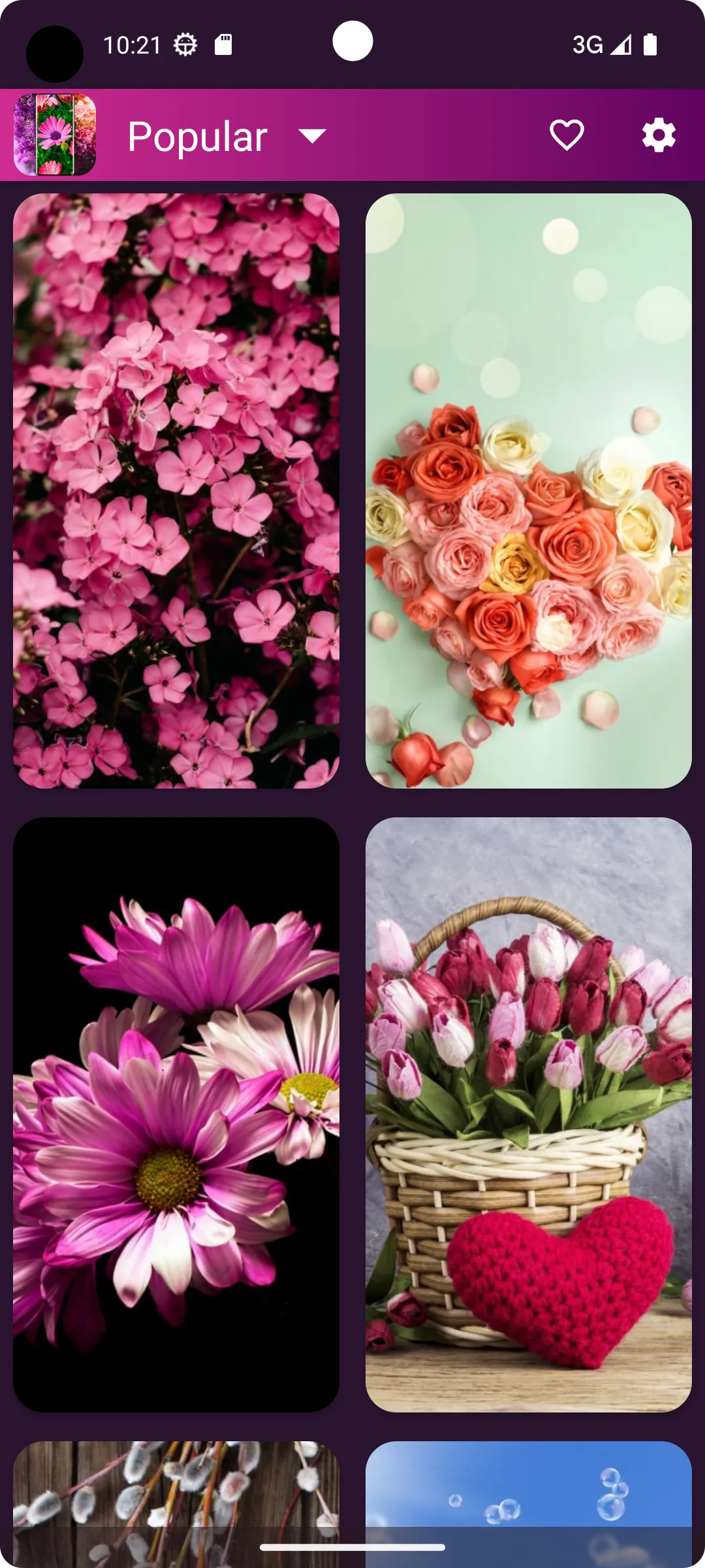 Flower Wallpapers - Flowrify | Indus Appstore | Screenshot