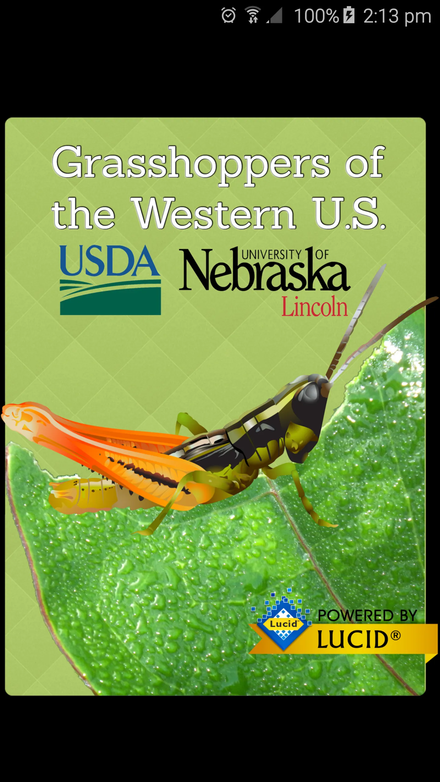 Grasshoppers of the Western US | Indus Appstore | Screenshot