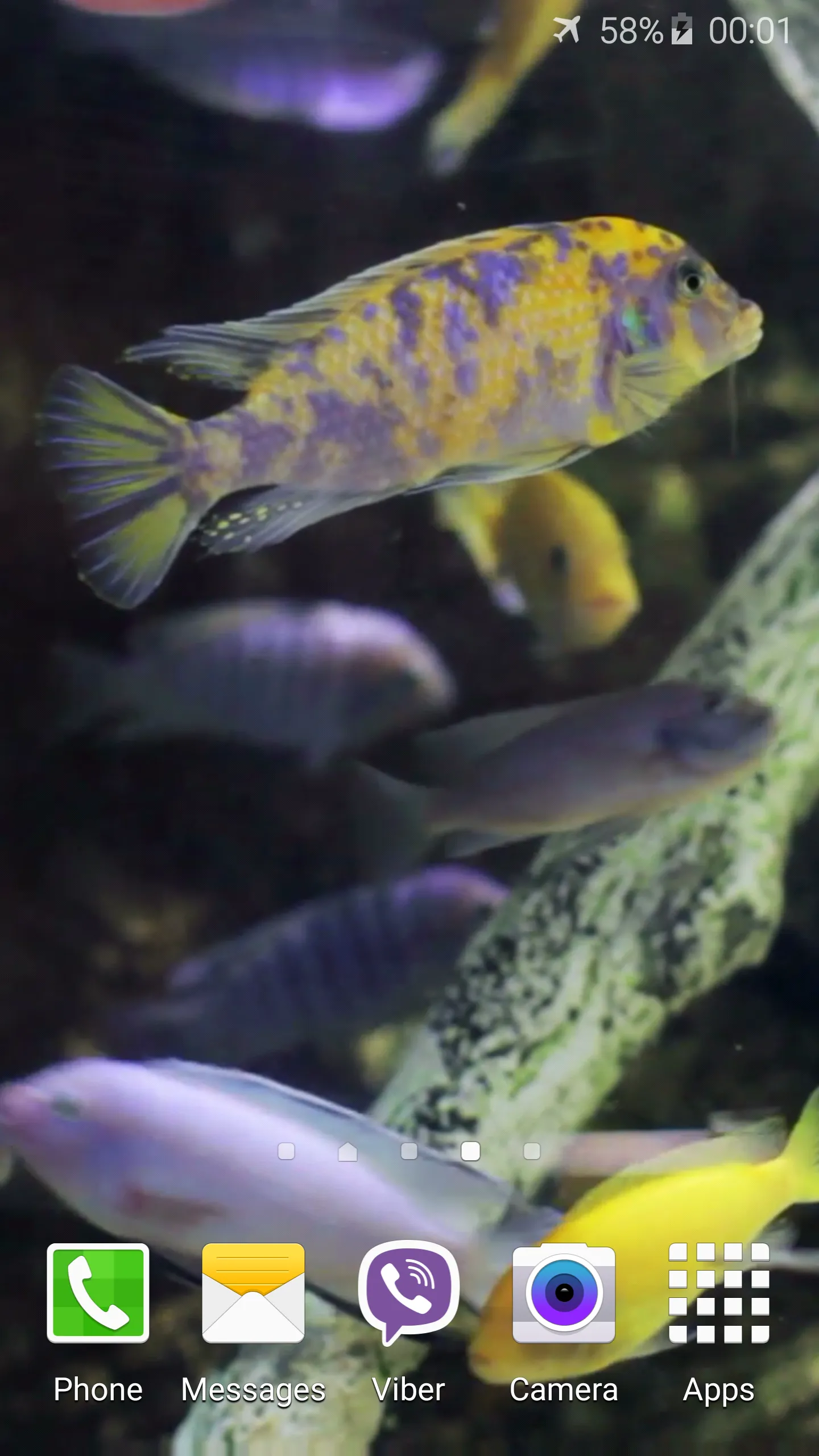 Aquarium HD Video Wallpaper | Indus Appstore | Screenshot