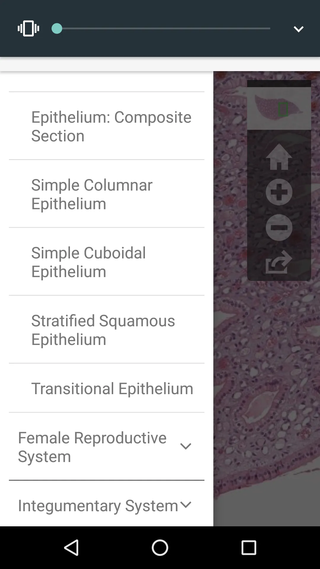 AnatLab Histology | Indus Appstore | Screenshot