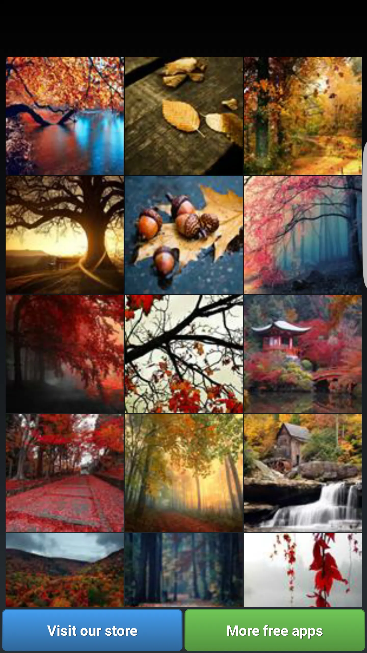 Autumn Wallpapers | Indus Appstore | Screenshot