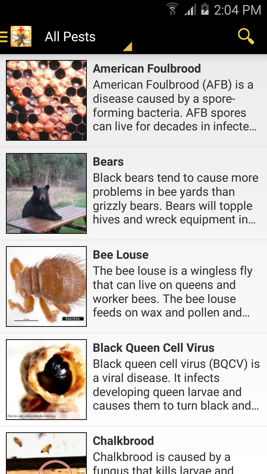 Bee Health | Indus Appstore | Screenshot