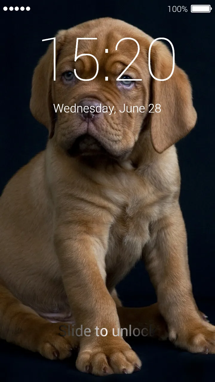 Cute Puppy Lock Screen | Indus Appstore | Screenshot