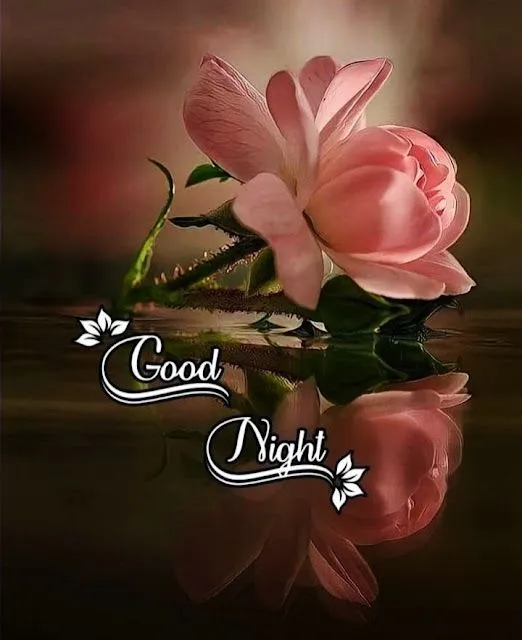 Good Night  Images Wishes 2024 | Indus Appstore | Screenshot