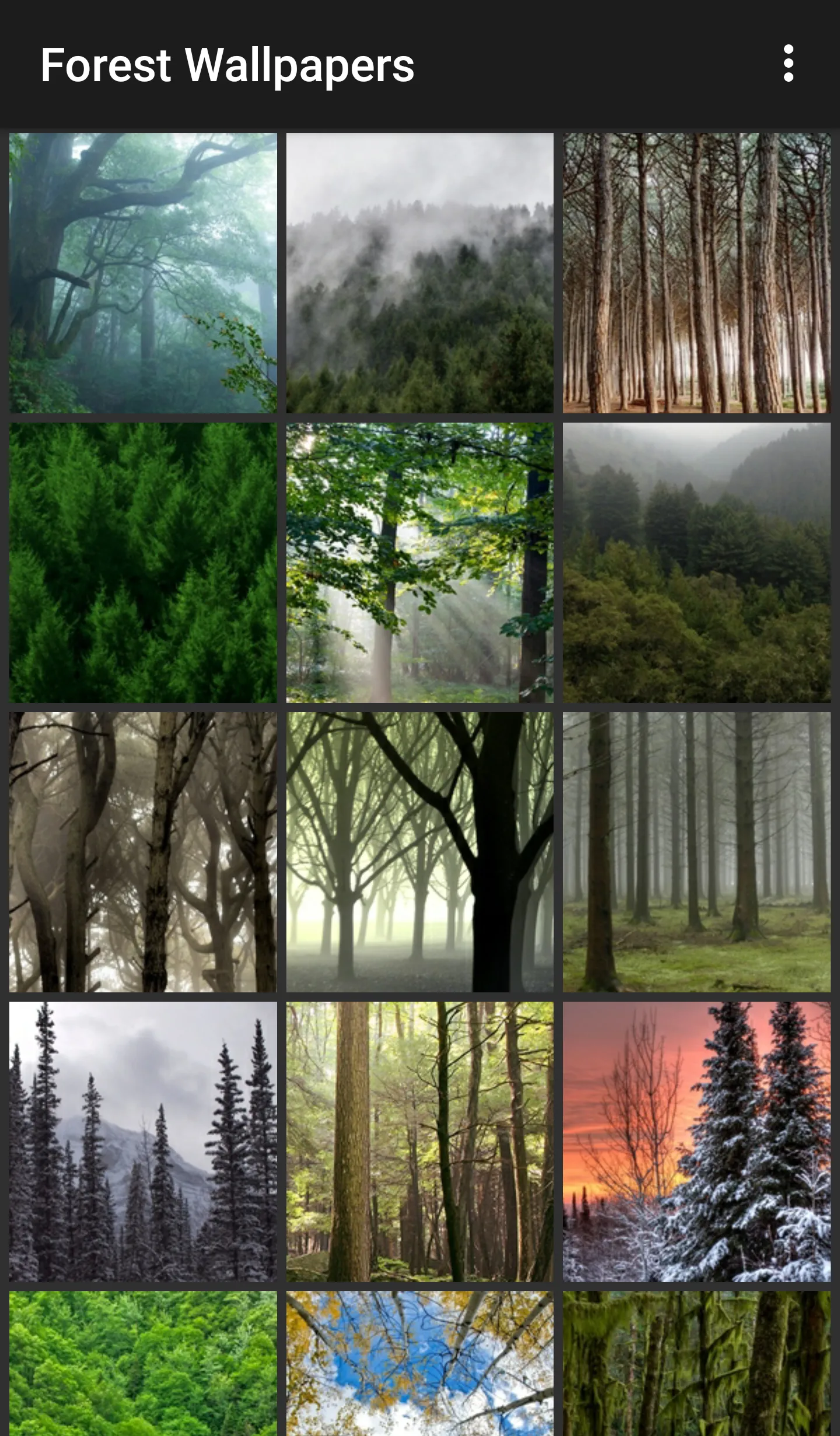 Forest Wallpapers | Indus Appstore | Screenshot