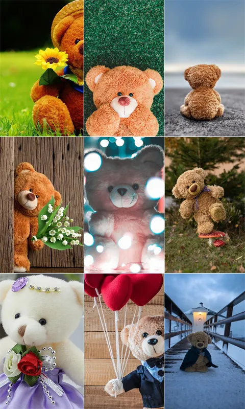 Teddy Bear Wallpaper | Indus Appstore | Screenshot