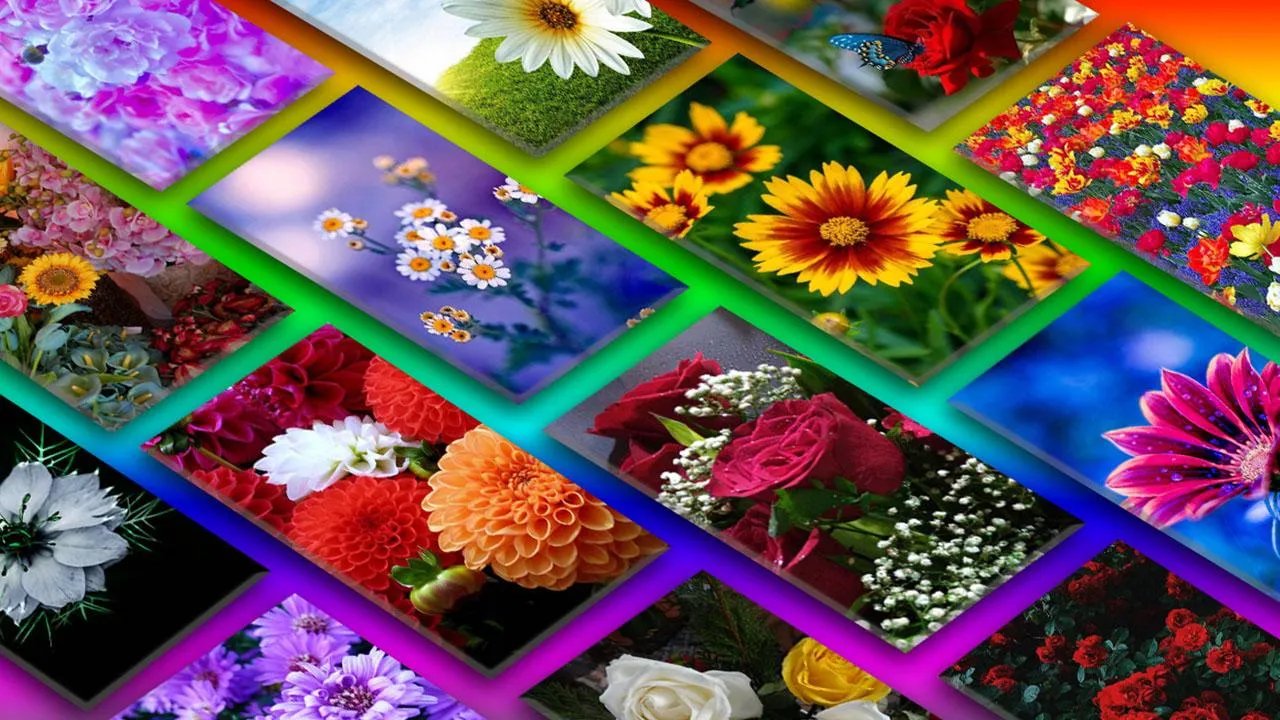 Flowers Wallpaper | Indus Appstore | Screenshot