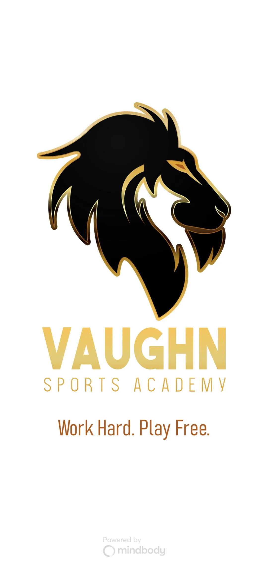 Vaughn Sports Academy | Indus Appstore | Screenshot